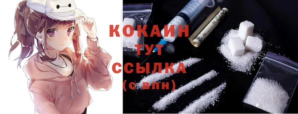 дмт Бородино