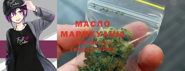 дмт Бородино