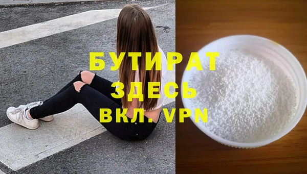 дмт Бородино
