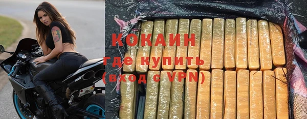 дмт Бородино