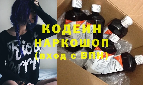 дмт Бородино