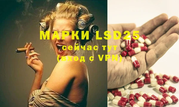 метадон Богданович
