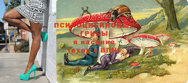 дмт Бородино
