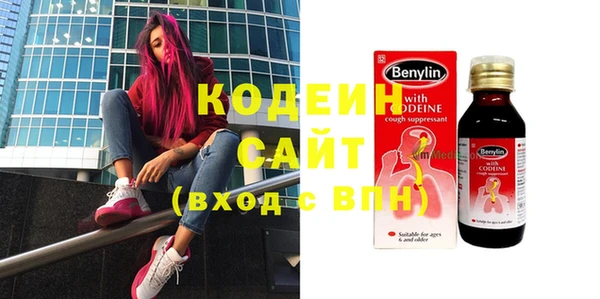 дмт Бородино