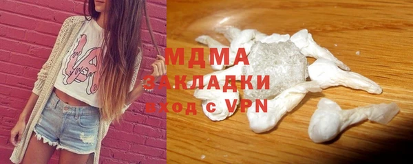 дмт Бородино