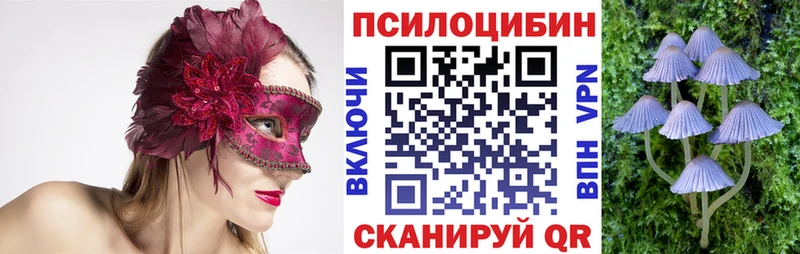 Псилоцибиновые грибы MAGIC MUSHROOMS  где продают   Константиновск 